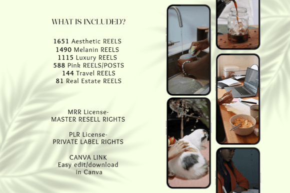 5060 Instagram Reels Templates Ideas