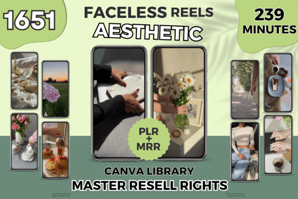 Aesthetic Instagram Reels PLR MRR Videos