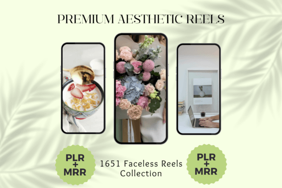 Aesthetic Instagram Reels PLR MRR Videos